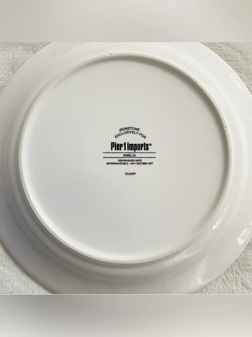 Pier 1 Amelia Set of 2 Salad Plates 8.75” Ironstone Floral Garden Dinnerware